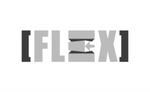 FLEX - Digital Pi